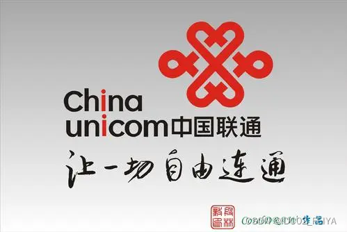 中国互联网十大骨干网
