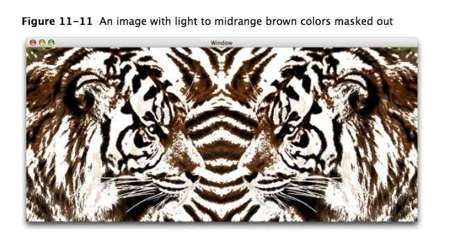 9052647-cb98a08a044006bb.png