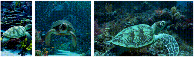 fc7590661379923336475c44a2a7b9d0.gif