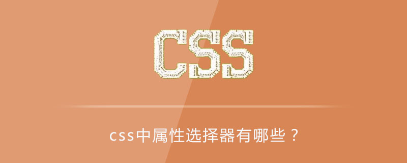 399ac793296003cd12899119736dca54.png