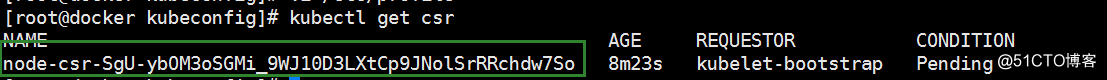 《二》Kubernetes集群部署(node)-搭建单集群v1.1