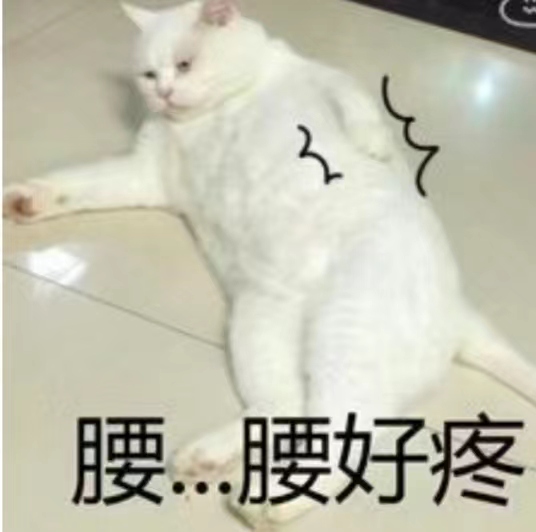 程序员专属表情包_无bug表情包-CSDN博客