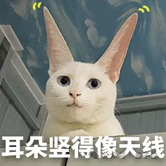 e3a3ca8e7b31a1027c3b7565a166ae92.png