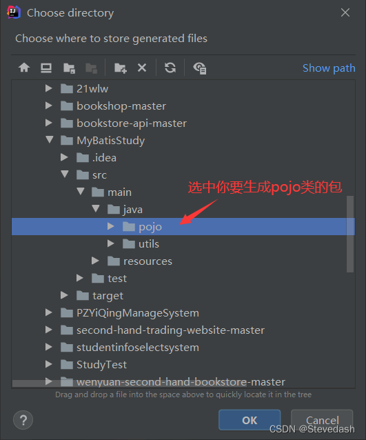 Pojo Javascript 如何使用IDEA链接数据库并自动生成POJO类?_idea pojo包怎么创建-CSDN博客