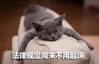 f6db61bb0aa551bb0d43da9c493086c1577.jpg