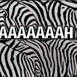 0e2ec6bb9075628ea50c1bc52fd22403.gif