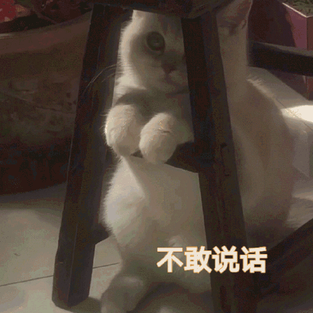 1b52b1af598aeecb870d94fa654def94.png