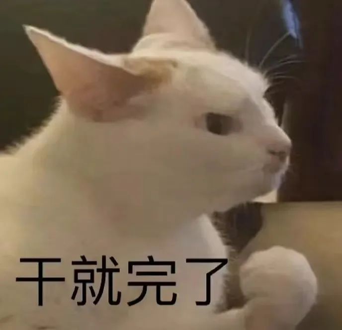 2f3f969aca4644eff7df1b9d59137aa3.jpeg