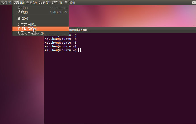 ubuntu <wbr>terminal