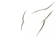 da904a4bd5356be4fc7fdfd76ac71f83.png