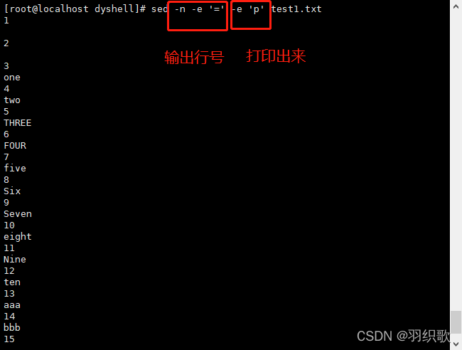 Shell脚本详解之sed编辑器详解_bash sed 区间-CSDN博客