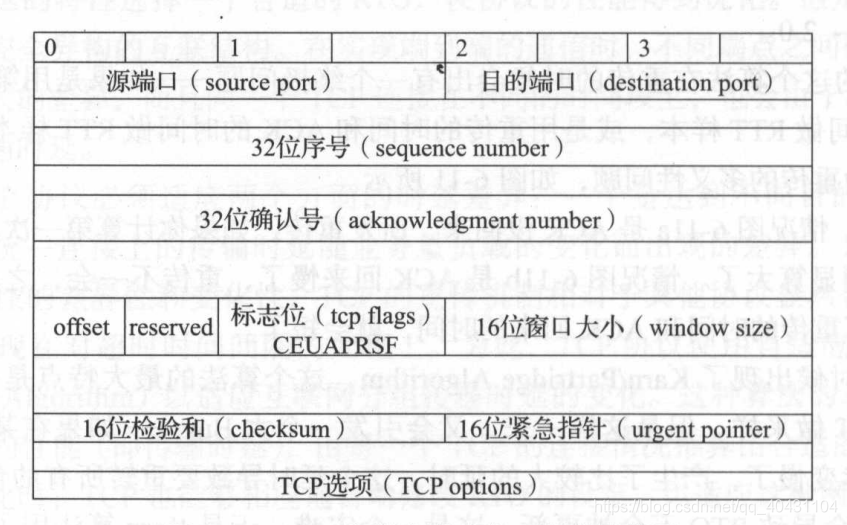 TCP头部