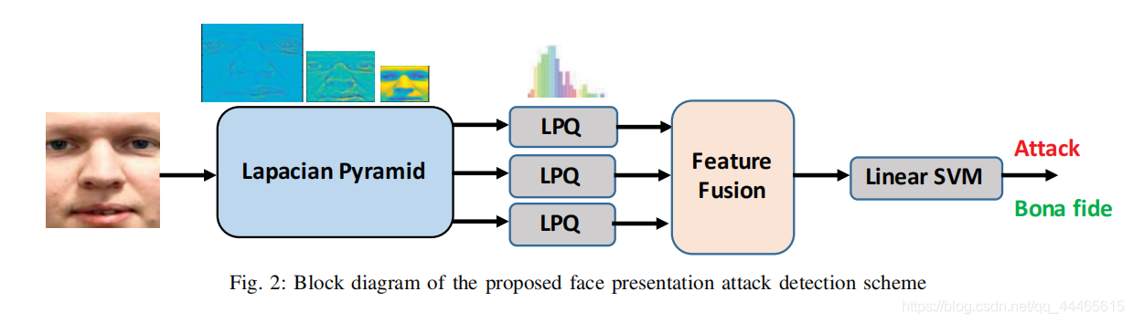 Fusion of Multi-scale Local Phase Quantization Features for Face ...