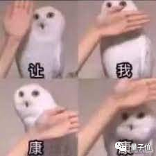 97190a8830df74dd209f539719abd75d.png