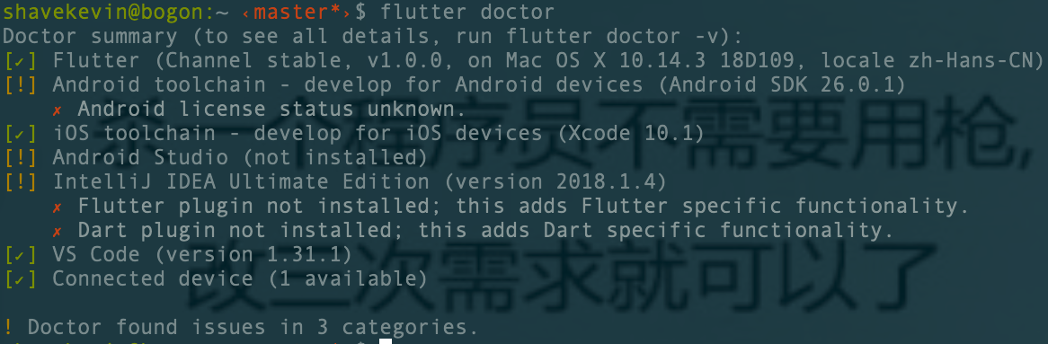 flutter doctor