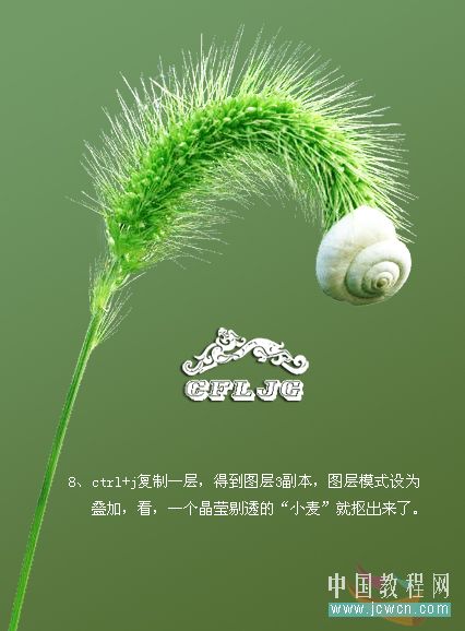 Photoshop通道结合图层模式抠狗尾巴草 
