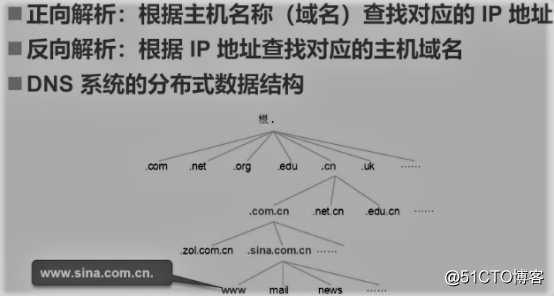 CentOS 7之DNS域名解析