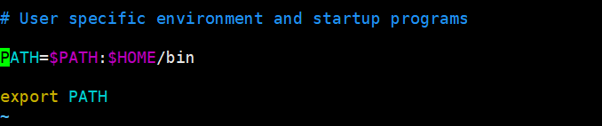 .bash_profile