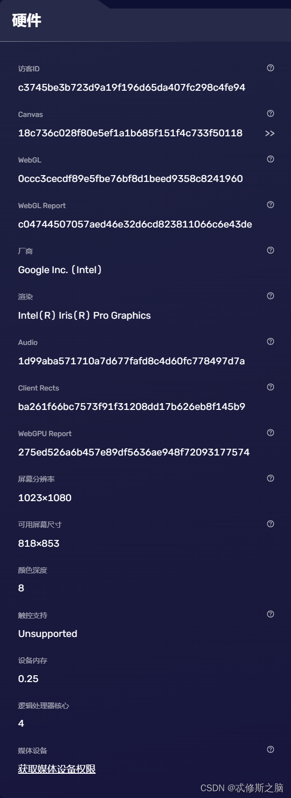 http代理工具,嵌入js引擎,绕过浏览器厂商插件限制,支持修改网络指纹和浏览器指纹_cthulhujs-CSDN博客