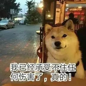 db8e3e7e75f3c1ac55114aa827df8ef0.jpeg