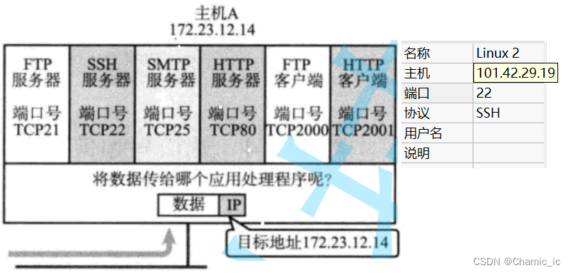 udp协议/tcp协议