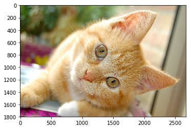 img_8d281f658ebdfefaca7caf83cadd2257.png