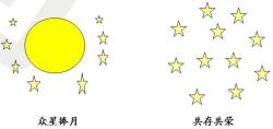 网站群