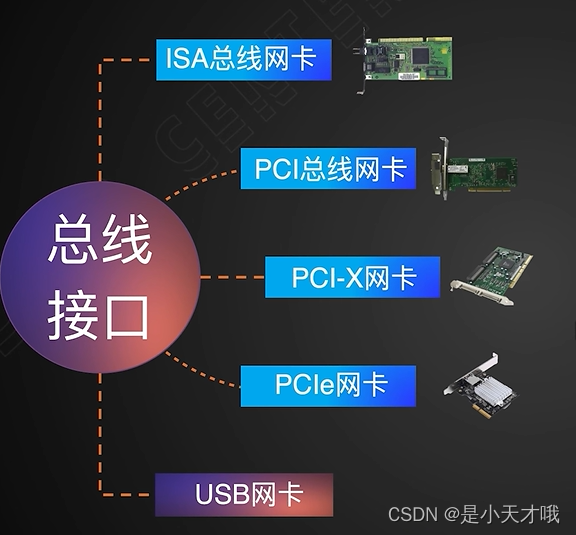 服务器硬件学习-服务器网卡_网卡知识网线csdn-CSDN博客