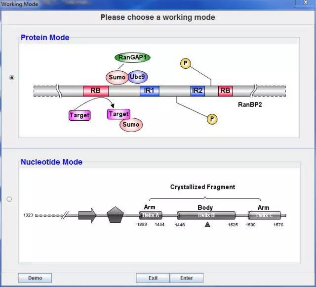 计算机描绘的基因结构图,利用IBS软件画基因mRNA的结构图-CSDN博客
