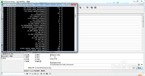 oracle数据库导出备份数据