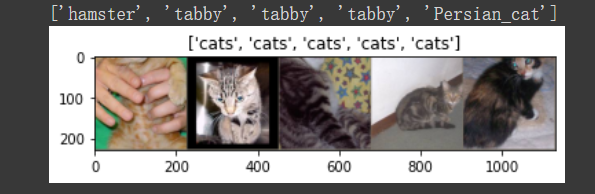 image-20221022200828432