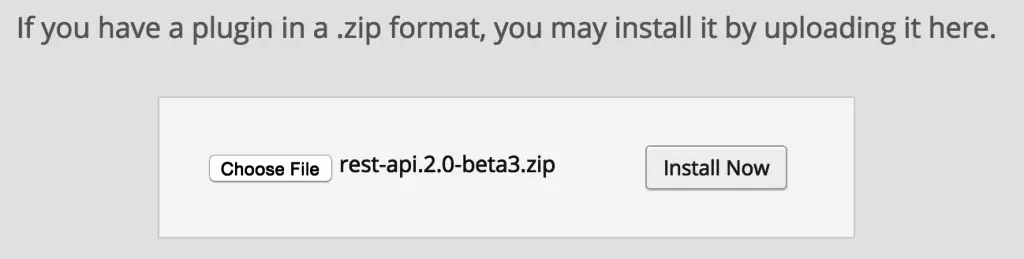 WP API WordPress Plugin Upload and Install