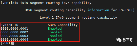 Srv6 Router Icon SRv6典型配置-CSDN博客