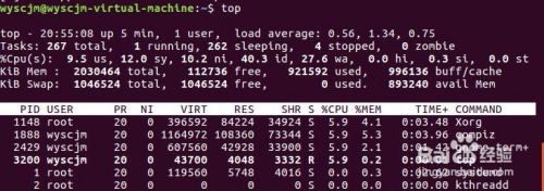 linux任务控制bg,fg,jobs,kill,wait,suspend...