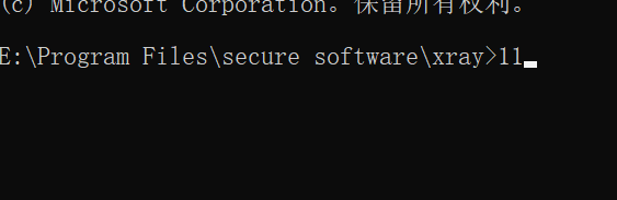 Xray 安装与使用心得插图9 image-20230613000700008
