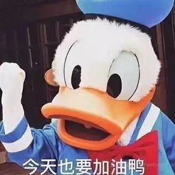 2040444c93bef941067e0332b8d71756bf1ba144