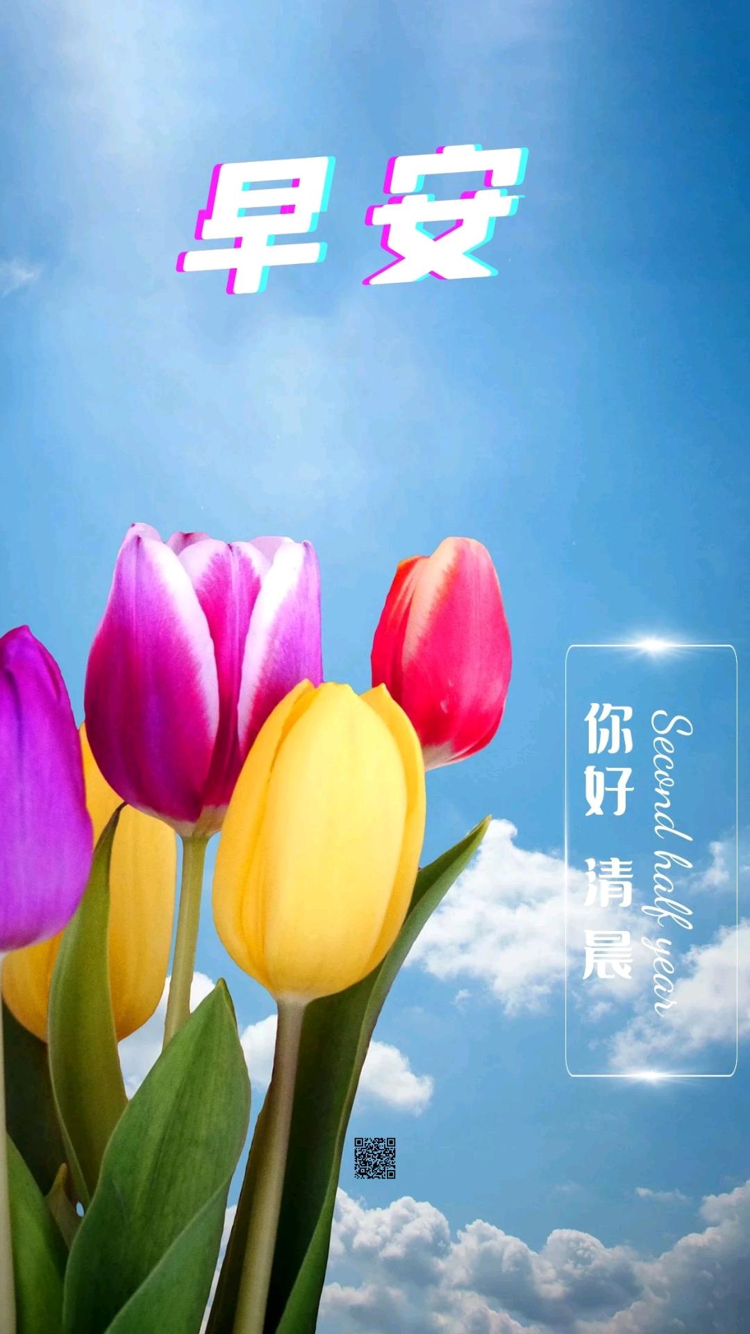10月11日星期三早安心语早安问候语早读-CSDN博客