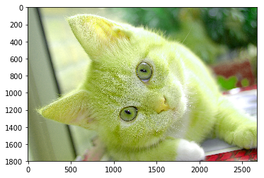 img_a5f2f97f8f914b9e478f629c568c6272.png