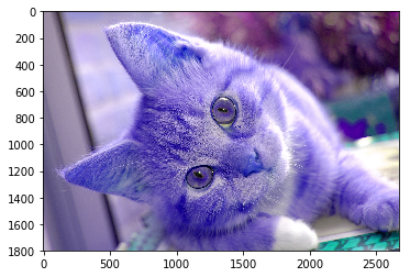 img_e14ee6477fb6146f1e86a391a4c75eb7.png