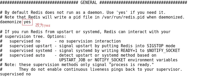 13055171-caba87a1edcc24d5.png