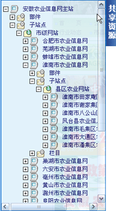 网站群