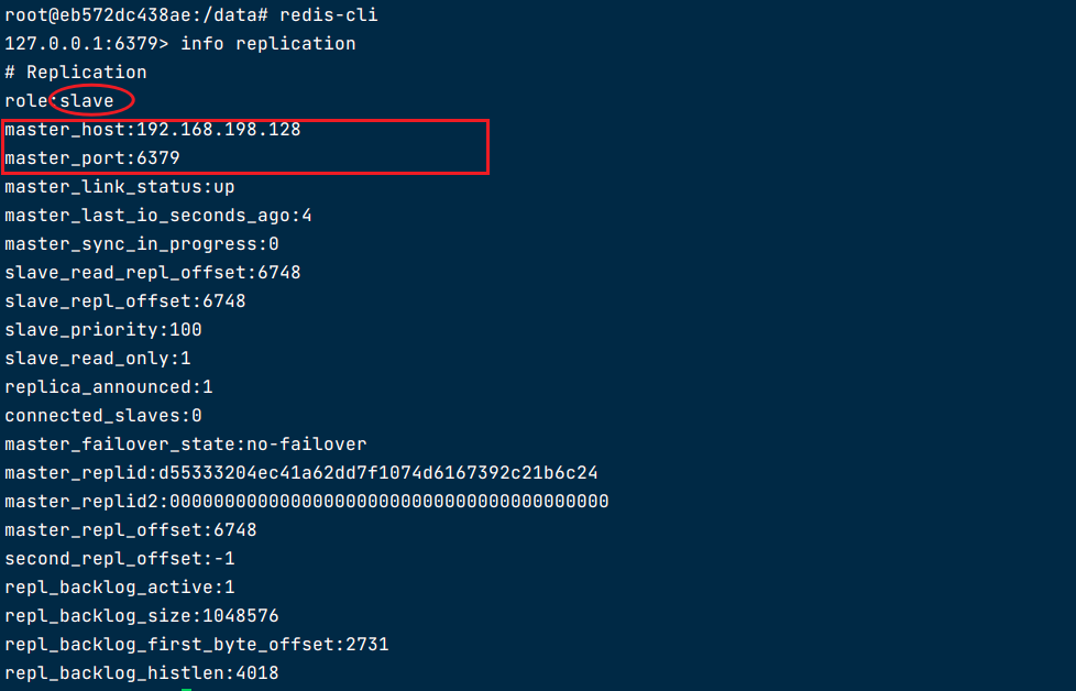 image-20231125182422137