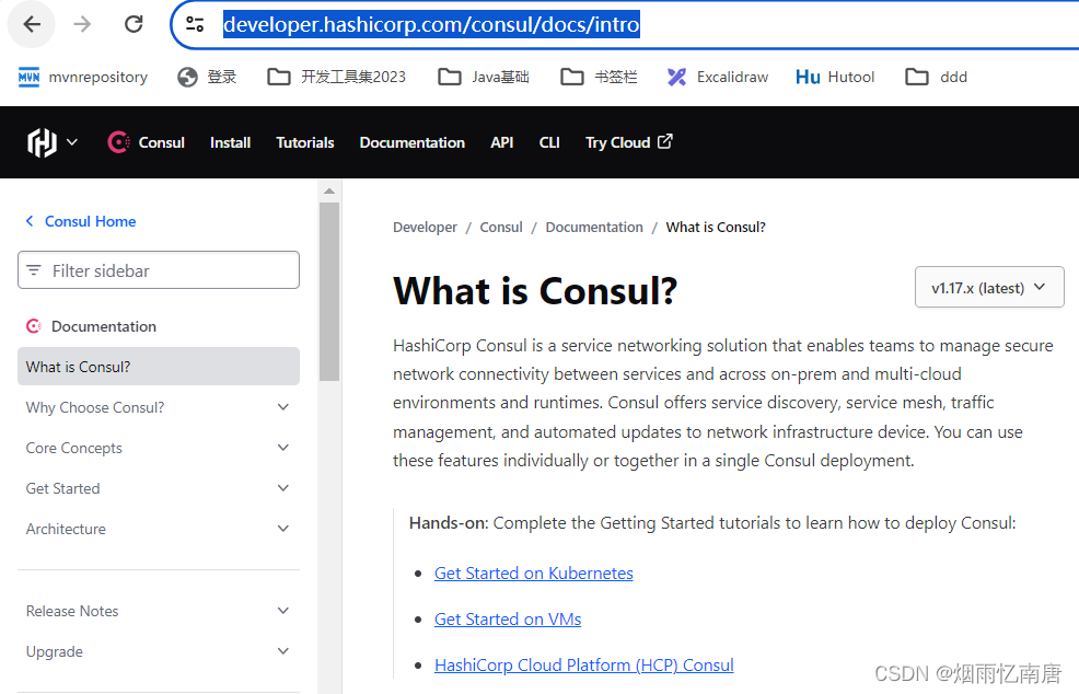 consul注册