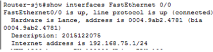 show interfaces FastEthernet 0/0
