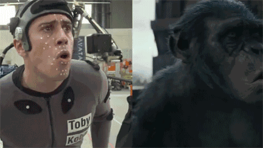 642cf16ac2595a673774721d6191d8de.gif