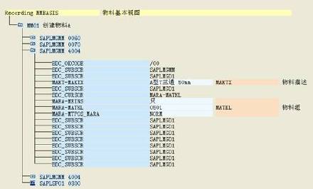 LSMW批处理使用方法(5)_步骤3下
