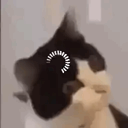 可爱的猫猫过来凑数