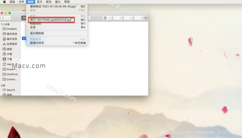 想知道如何在Mac上剪切文件吗？一定要看这篇文章！_mac如何剪切-CSDN博客