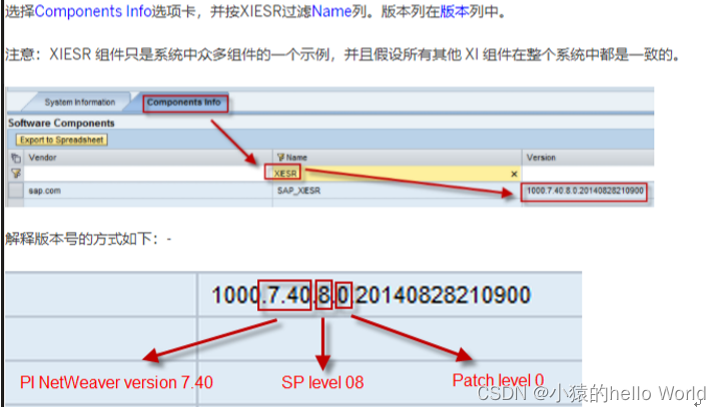 NWA问题排查：Java系统信息与XISER组件版本查看-CSDN博客